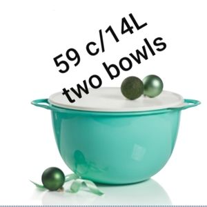 2- Mega Thatsa Bowl 59c/ 14L